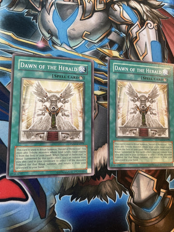 TSHD-EN059 X3 Dawn Of The Herald Common Unlimited Edition NM Yugioh (back)