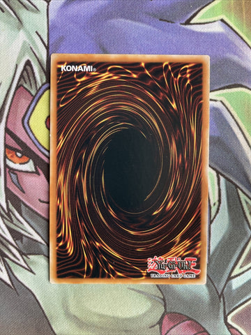 DIFO-EN038 Dinomorphia Rexterm Ultra Rare 1st Edition Near Mint Yugioh Card (back)