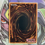 DIFO-EN038 Dinomorphia Rexterm Ultra Rare 1st Edition Near Mint Yugioh Card