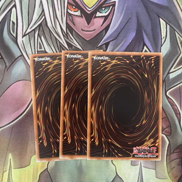 DP10-EN003 x3 Stardust Xiaolong Common Excellent Condition Yugioh (back)