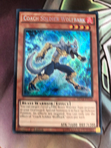 MP14-EN119 COACH SOLDIER WOLFBARK - Secret Rare - NM - 1st Edition Yugioh (back)