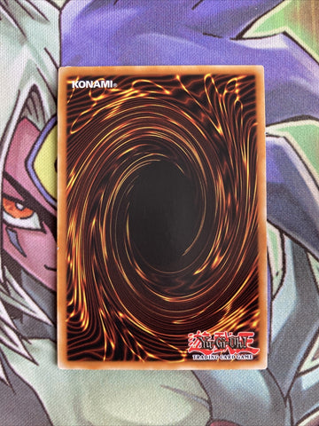 SDLS-EN019 Zeradias, Herald Of Heaven Common 1st Edition NM Yugioh Card (back)