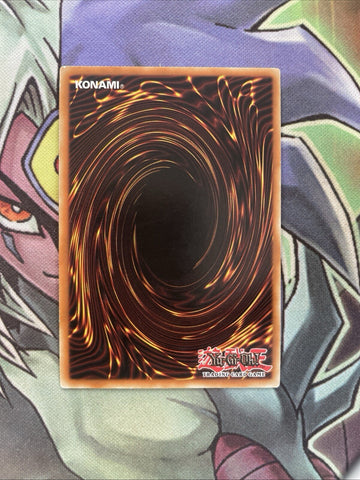 DP06-EN010 Evil Hero Dark Gaia Common Unl Edition NM Yugioh Card (back)