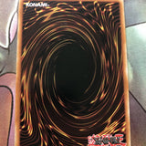 SDSB-EN014 TRUE KING AGNIMAZUD, THE VANISHER Common 1st Edition YuGiOh Card