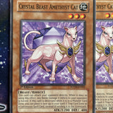 FOTB-EN002 x3 Crystal Beast Amethyst Cat Common Playset Yugioh