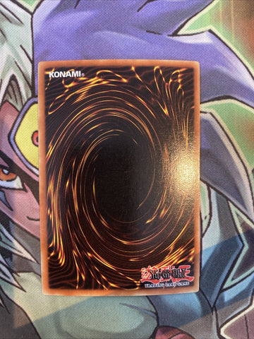 LON-002 Swordsman Of Landstar Common 1st Edition NM Yugioh Card (back)