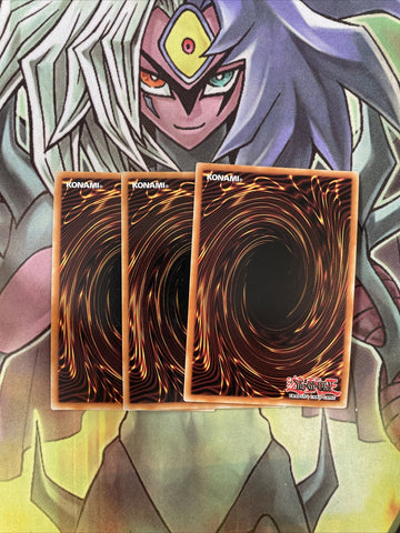 CT13-EN010 x3 D/D/D Gust King Alexander Super Rare Excellent Condition Yugioh (back)