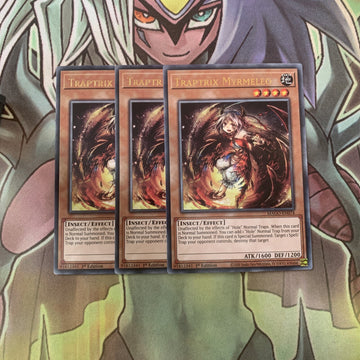 MAGO-EN074 x3 Traptrix Myrmeleo Rare Excellent Condition Yugioh