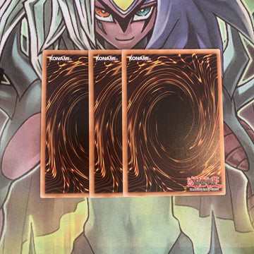 MAGO-EN074 x3 Traptrix Myrmeleo Rare Excellent Condition Yugioh (back)