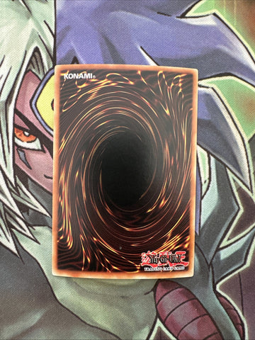 MRL-E069 Crab Turtle Common 1st Edition NM Yugioh Card (back)