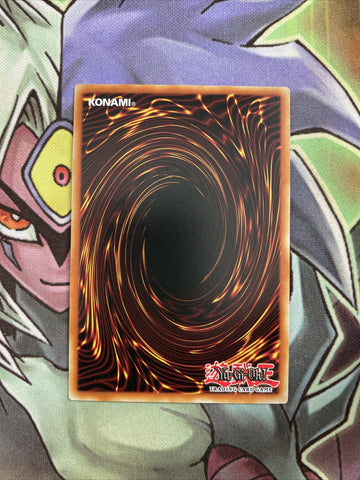 CYHO-EN013 Impcantation Talismandra Rare 1st Edition NM Yugioh Card (back)