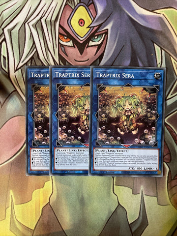 SDBT-EN044 x3 Traptrix Sera Common Excellent Condition Yugioh