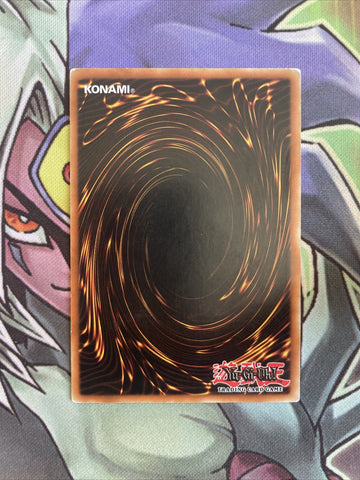 PHSW-EN026 Wind Up Kitten Ultimate Rare Unlimited Edition NM Yugioh Card (back)