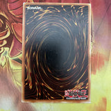 GLD1-EN043 Rivarly Of Warlords Yugioh LP GERMAN