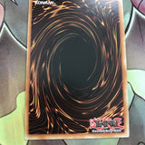 SAST-EN051 Guardragon Elpy Super Rare 1st Edition Mint YuGiOh Card
