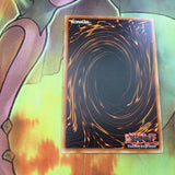 TP1-E012 Yugioh Tiger Axe! Rare! NM European Edition