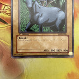 lob-e008 Dark Gray1st Edition (NM+) Common Yugioh!