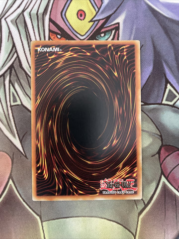 OP06-EN025 Amazoness Queen Common UNL Edition NM Yugioh (back)