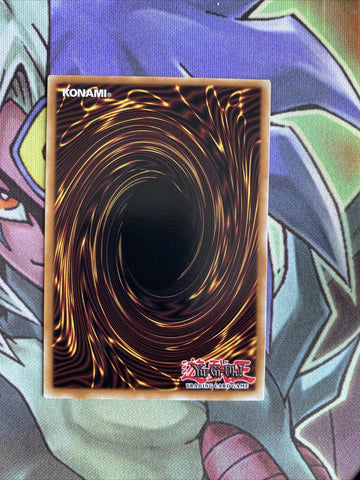 RYMP-EN019 Rainbow Neos Common NM Yugioh Card (back)