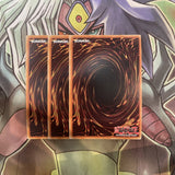 OP06-EN015 Shiranui Spiritmaster Common x3 Excellent Condition Yugioh