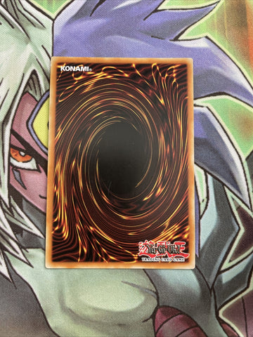 PGLD-EN033 Dark Magician Girl Gold Rare 1st Edition NM Yugioh Card (back)