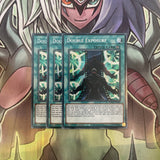 BROL-EN040 x3 Double Exposure Secret Rare Excellent Condition Yugioh