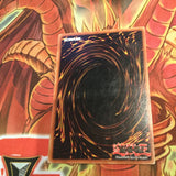 LOB-E007 SILVER FANG 1st EDITION ENGLISH Yugioh! CARD