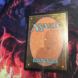 Pentarch Paladin - Time Spiral Excellent Magic MTG