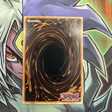 DR1-EN216 Gagagigo Common Unlimited Edition NM Yugioh Card