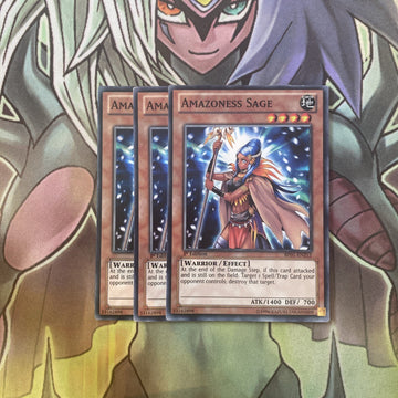 BP01-EN212 x3 Amazoness Sage Common Excellent Condition Yugioh