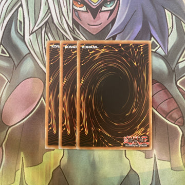 BP01-EN212 x3 Amazoness Sage Common Excellent Condition Yugioh (back)