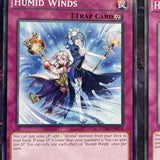 CORE-EN074 x3 Humid Winds Common Yugioh Card 1st Edition