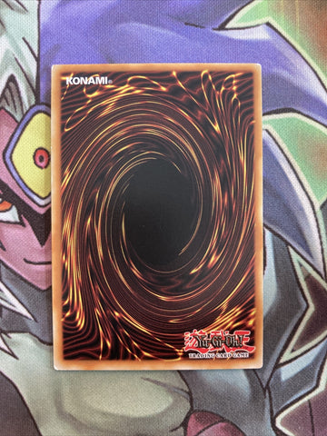 SECE-EN081 Mischief Of The Gnomes Common UNL Edition NM Yugioh Card (back)