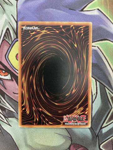 MACR-EN019 Supreme King Dragon Darkwurm Common Unlim Edition NM Yugioh (back)