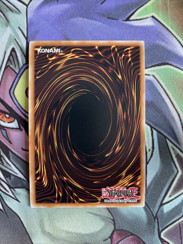 ROTD-EN095 Raidraptor - Revolution Falcon - Air Raid 1st Edition NM Yugioh Card (back)