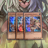 LCJW-EN087 x3 Amazoness Paladin Super Rare Excellent Condition Yugioh