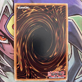 DIFO-EN053 Therion Discolosseum Ultra Rare 1st Edition NM Yugioh Card