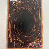 YuGiOh! T.G. Wonder Magician EXVC-EN040 Ultimate Rare 1st Edition NM Card