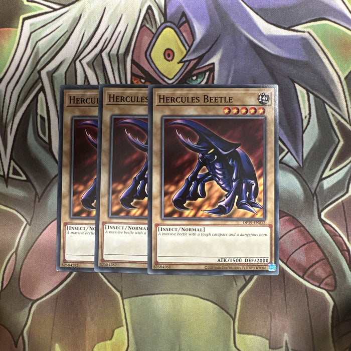 OP19-EN012 x3 Hercules Beetle Common Excellent Condition Yugioh