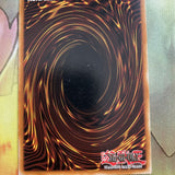 DT04-EN010 White Night Dragon Super Rare Duel Terminal Foil NM Yugioh