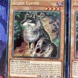 SAST-EN015 ALOOF LUPINE YUGIOH CARDS X3
