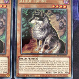 SAST-EN015 ALOOF LUPINE YUGIOH CARDS X3