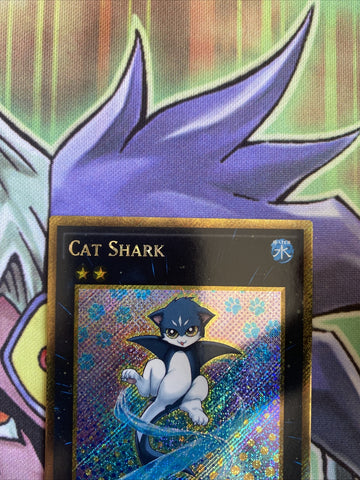 PGL2-EN016 Cat Shark Gold Secret 1st Edition NM Yugioh Card (back)