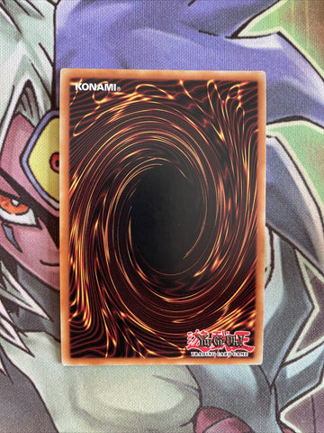 BLLR-EN046 Witch Of The Black Forest ITALIAN 1st Edition Near Mint Yugioh Card (back)