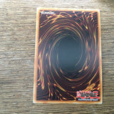NECH-EN095 Yugioh Number 39: Utopia Beyond Super Rare UNL