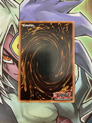 IOC-049 Cursed Seal Of  The Forbidden Spell Common 1st Edition NM Yugioh Card (back)