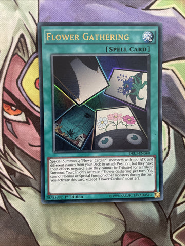 DRL3-EN040 Flower Gathering Ultra Rare 1st Edition NM Yugioh Card
