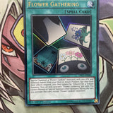 DRL3-EN040 Flower Gathering Ultra Rare 1st Edition NM Yugioh Card