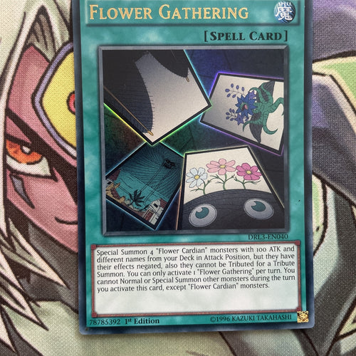 DRL3-EN040 Flower Gathering Ultra Rare 1st Edition NM Yugioh Card