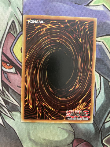 DRL3-EN040 Flower Gathering Ultra Rare 1st Edition NM Yugioh Card (back)